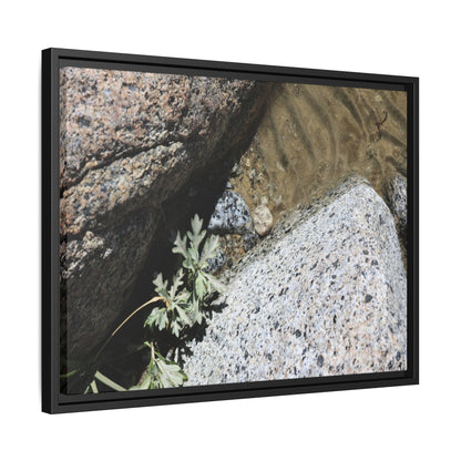 Resilience in Stone - Unique Stretched Canvas Wall Art - Art By Earth