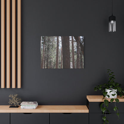 Vertical Sentinels - Unique Frameless Canvas Wall Art - Art By Earth