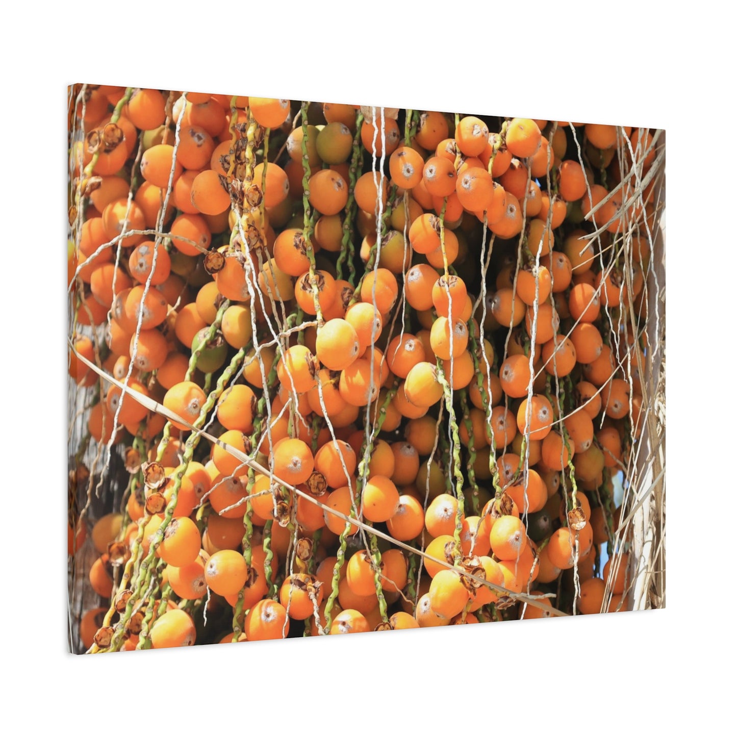 Orange Harvest - Unique Frameless Canvas Wall Art - Art By Earth