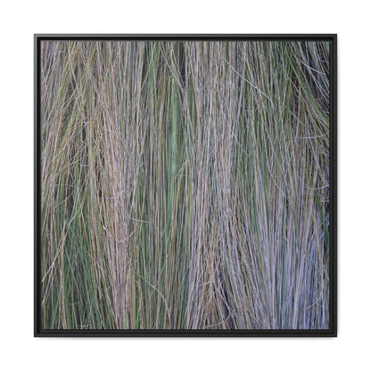 Whispers of Silver Grass - Unique Stretched Canvas Wall Art - Art By Earth
