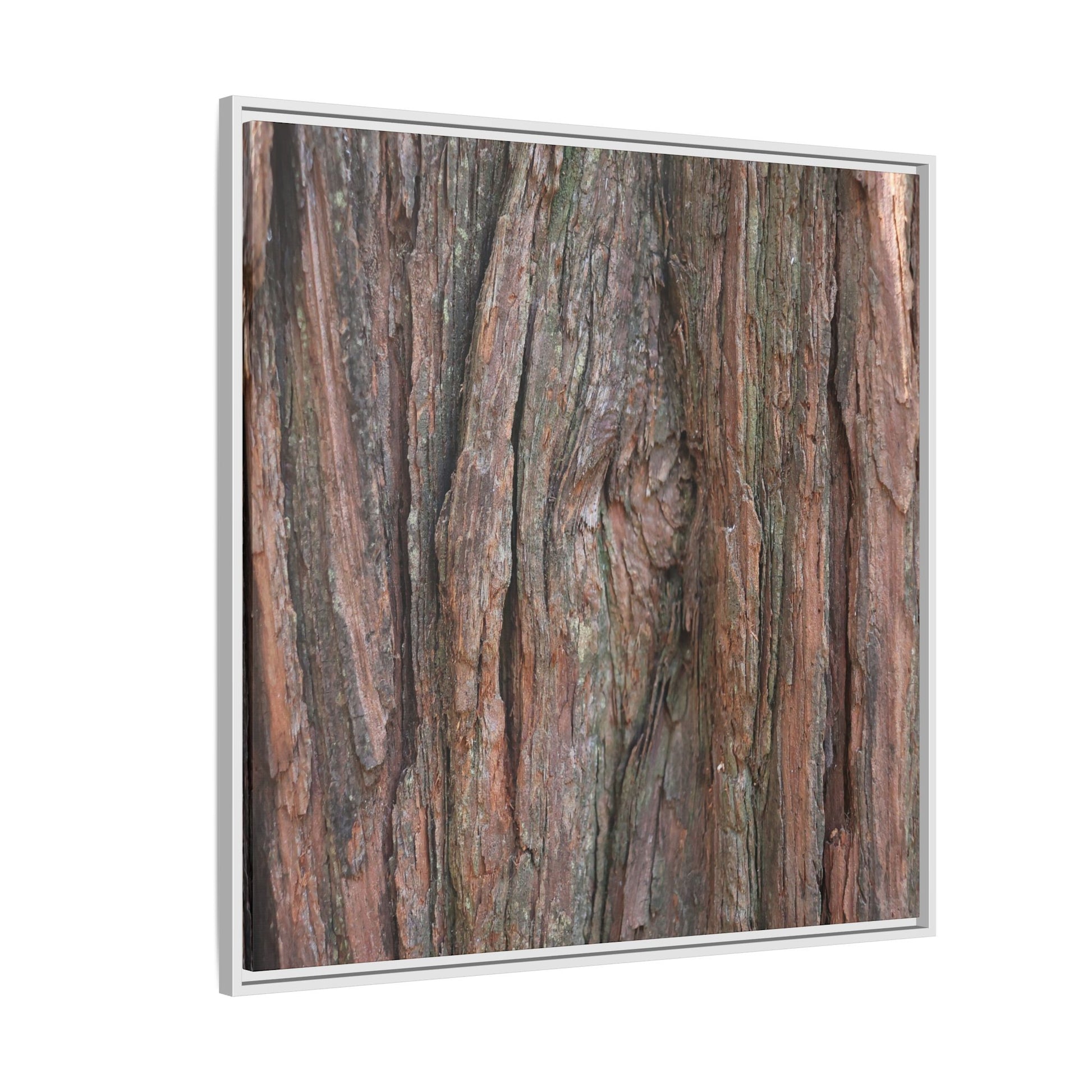 Rugged Textures - Unique Stretched Canvas Wall Art - Art By Earth
