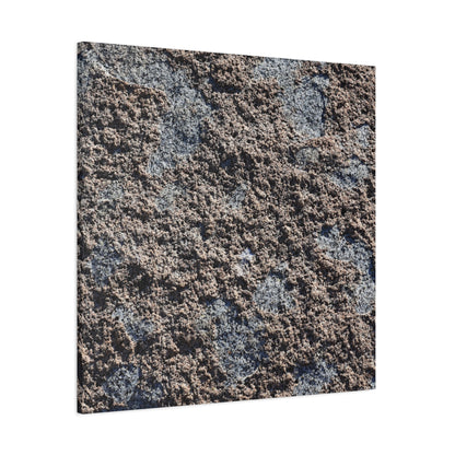 Soil and Stone - Unique Frameless Canvas Wall Art