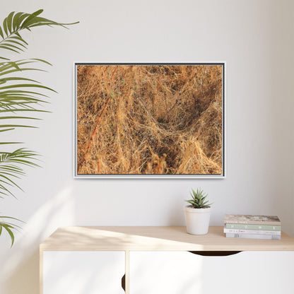 Dried Vegetation Study - Unique Stretched Canvas Wall Art - Art By Earth