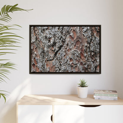 Bark Texture Symphony - Unique Stretched Canvas Wall Art - Art By Earth