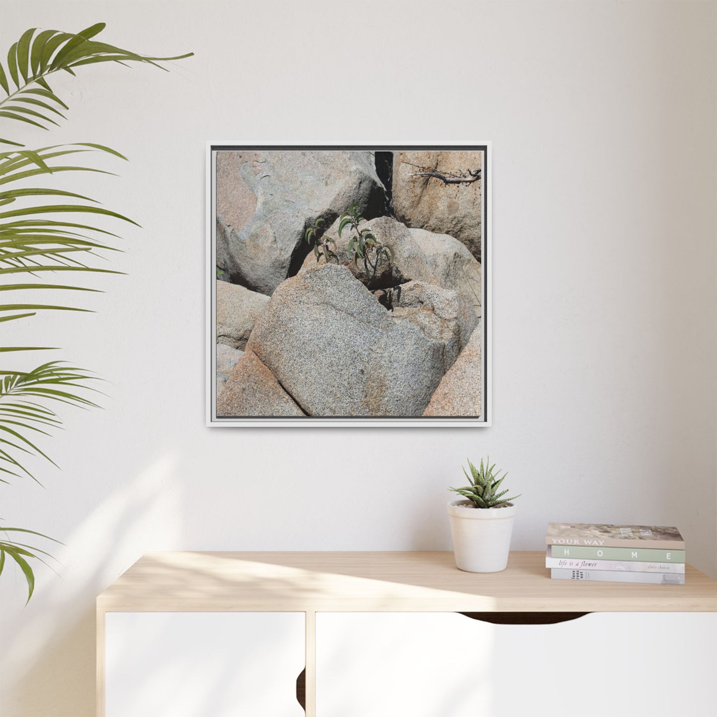 Desert Plant Thriving Among Rocks - Unique Stretched Canvas Wall Art