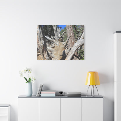 Twisted Roots - Unique Frameless Canvas Wall Art