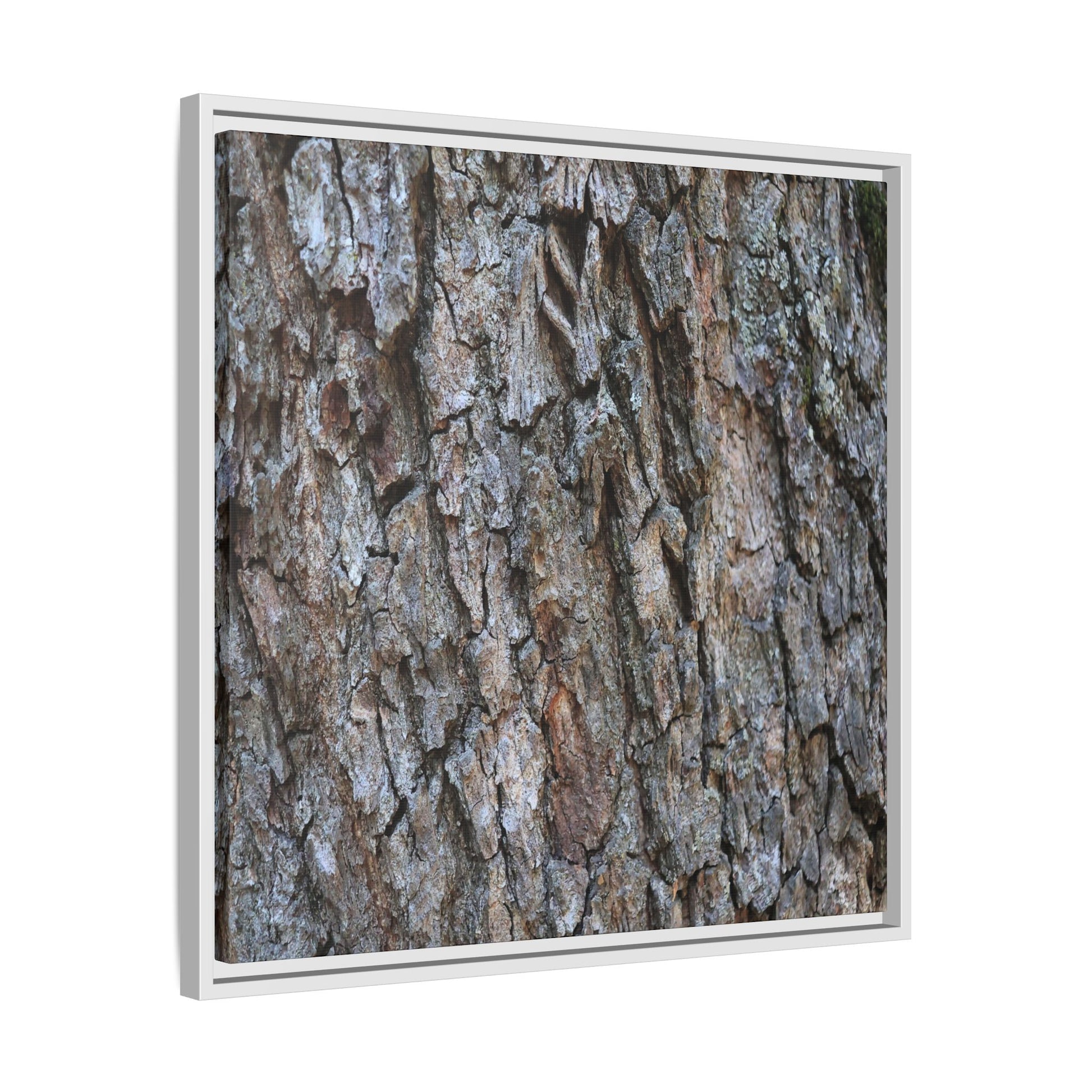 Woodland Skin - Unique Stretched Canvas Wall Art - Art By Earth