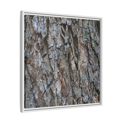 Woodland Skin - Unique Stretched Canvas Wall Art - Art By Earth