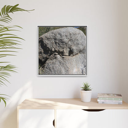 Stone Skull in Desert - Unique Stretched Canvas Wall Art