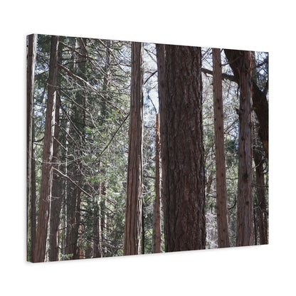 Vertical Sentinels - Unique Frameless Canvas Wall Art - Art By Earth