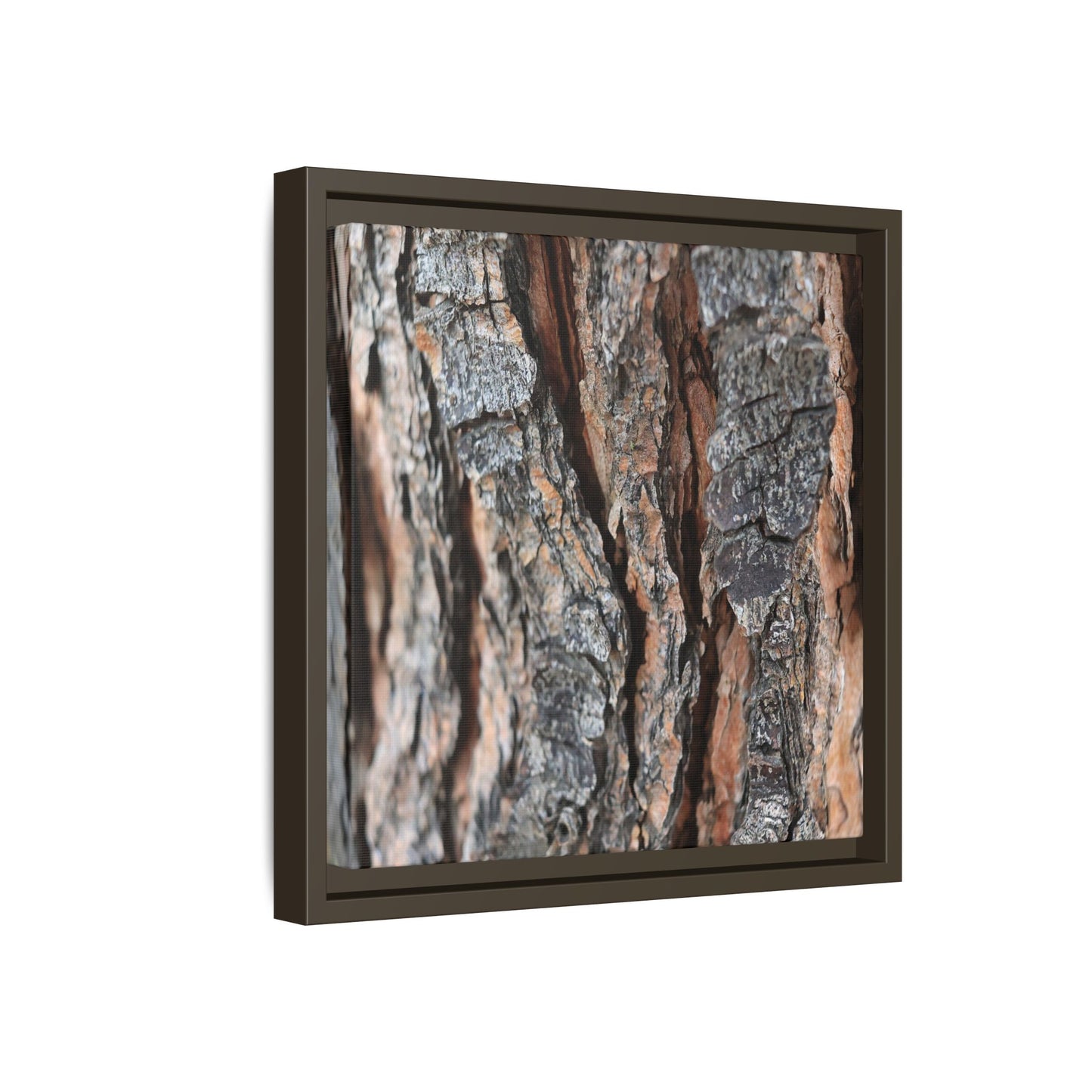 Fractured Nature - Unique Stretched Canvas Wall Art - Art By Earth