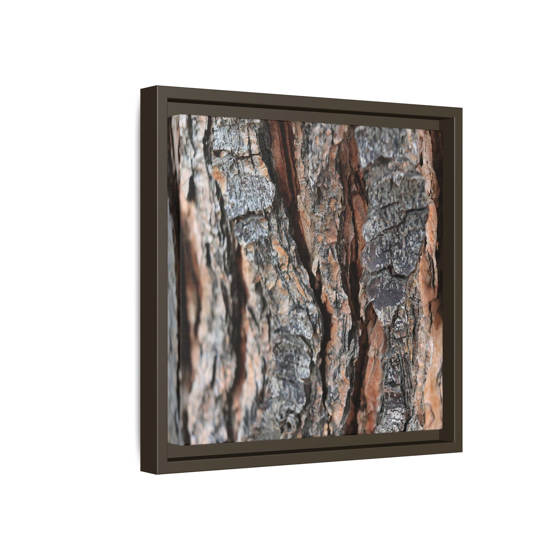 Fractured Nature - Unique Stretched Canvas Wall Art - Art By Earth