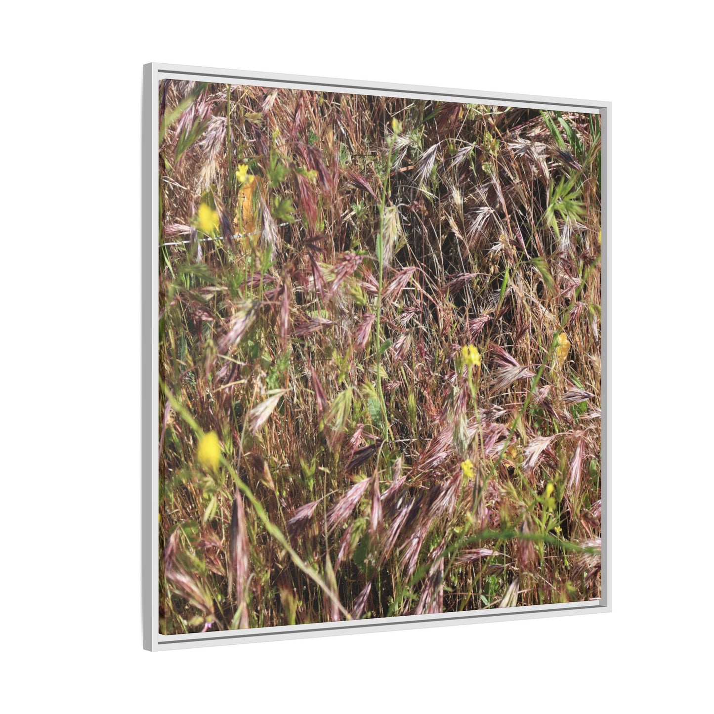 Autumn Meadow - Unique Stretched Canvas Wall Art - Art By Earth