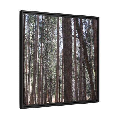 Forest Cathedral - Unique Stretched Canvas Wall Art - Art By Earth