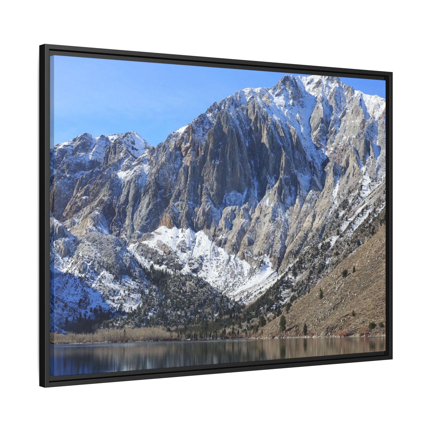 Frozen Reflection - Unique Stretched Canvas Wall Art