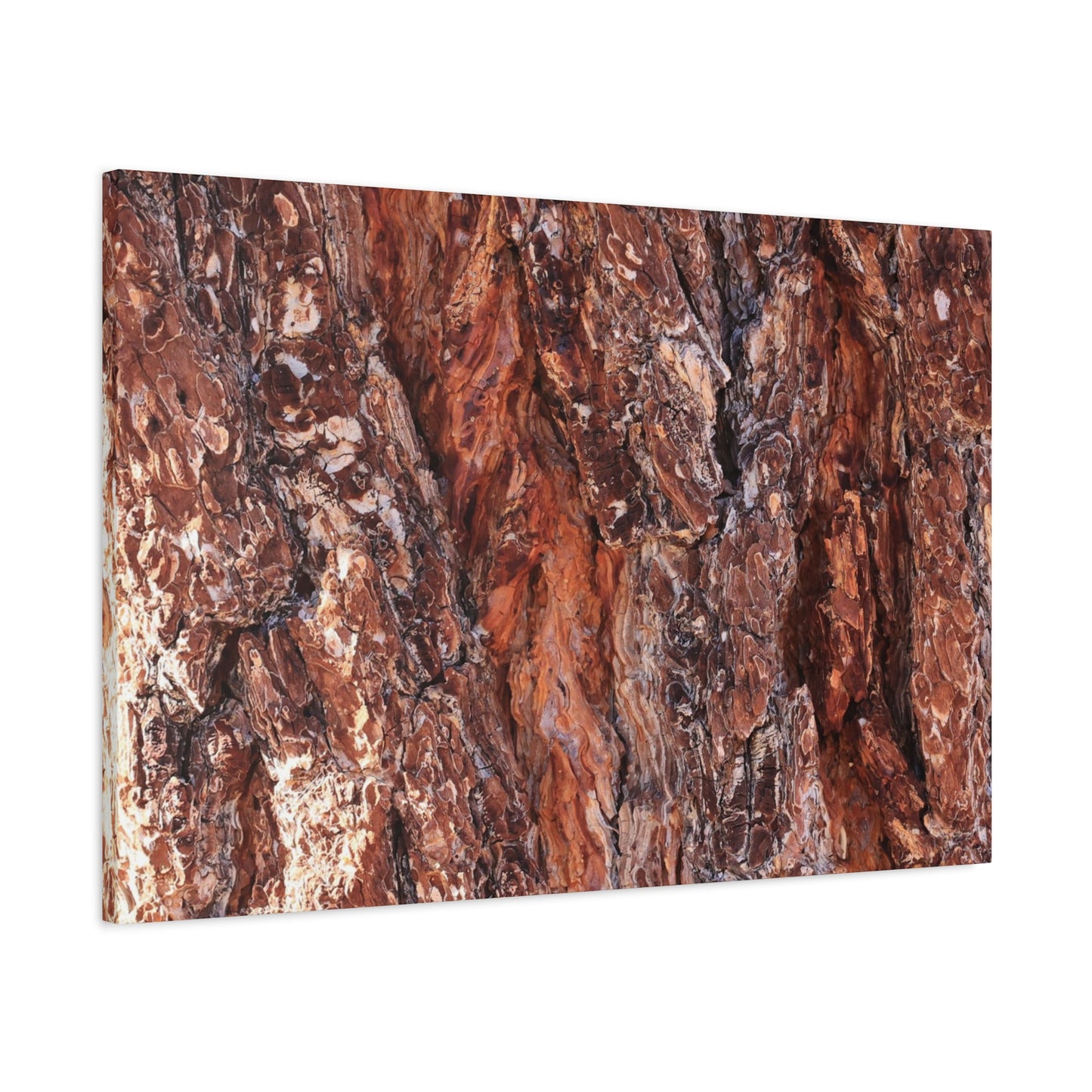 Rust and Ridges - Unique Frameless Canvas Wall Art