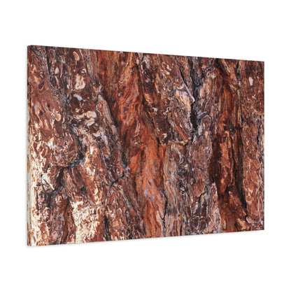 Rust and Ridges - Unique Frameless Canvas Wall Art
