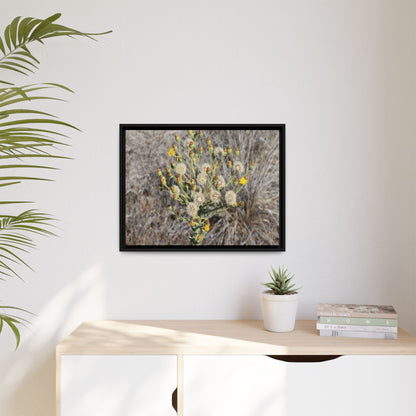 Whispers of the Dry Grass - Unique Stretched Canvas Wall Art - Art By Earth
