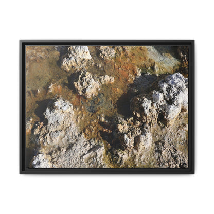 Textural Metamorphosis - Unique Stretched Canvas Wall Art