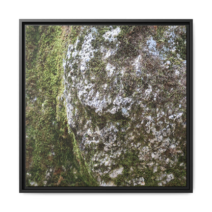 Lichen Landscape - Unique Stretched Canvas Wall Art - Art By Earth