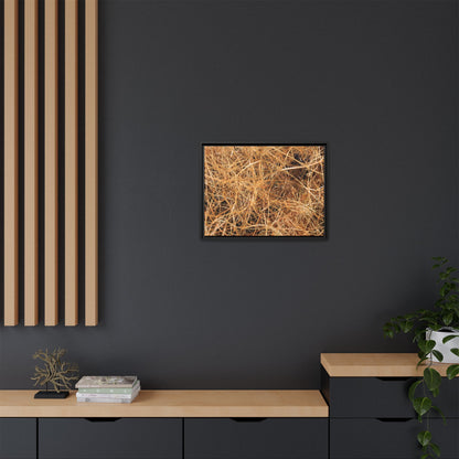 Dried Grass - Unique Stretched Canvas Wall Art - Art By Earth