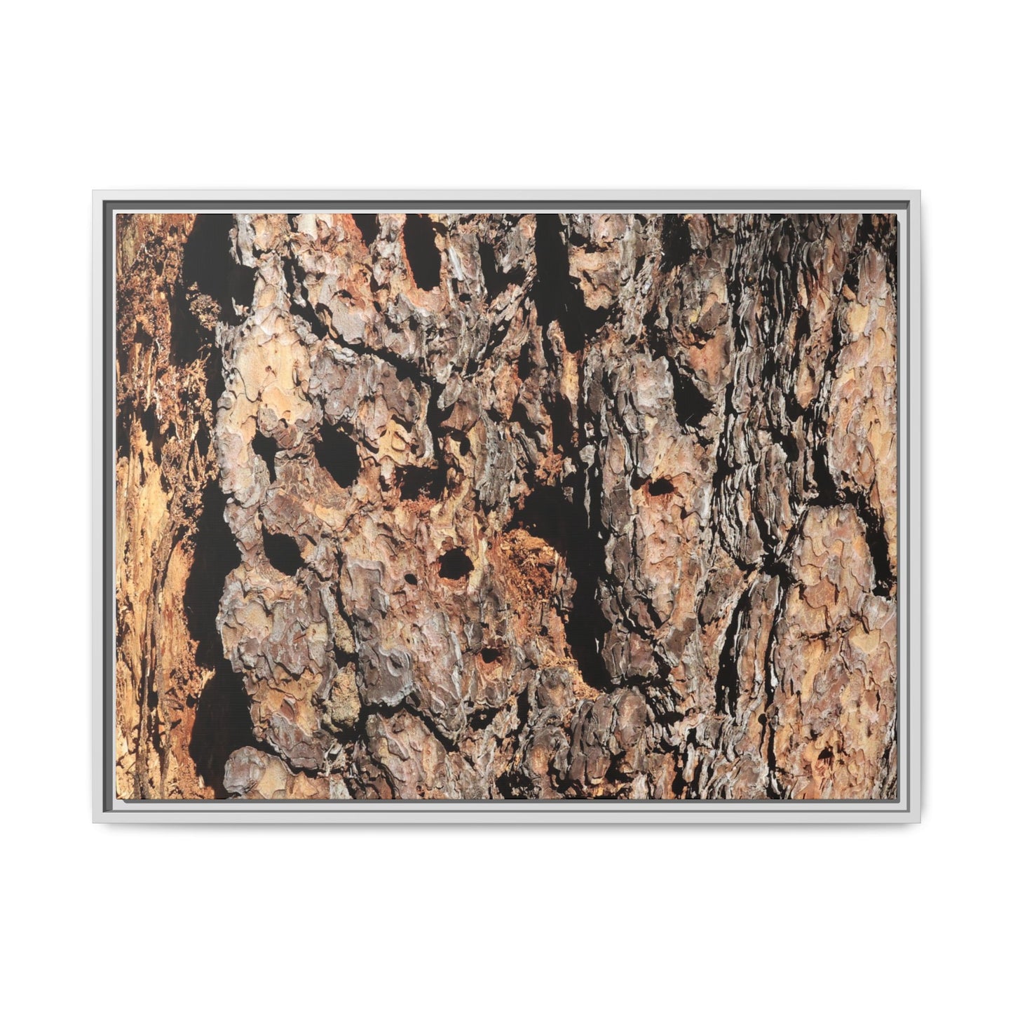 Rugged Rhythms - Unique Stretched Canvas Wall Art - Art By Earth