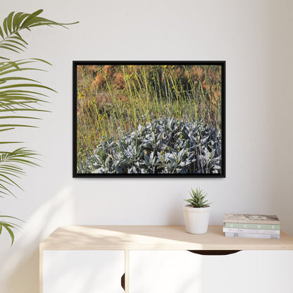 Arid Landscape with Yellow Flowers - Unique Stretched Canvas Wall Art - Art By Earth