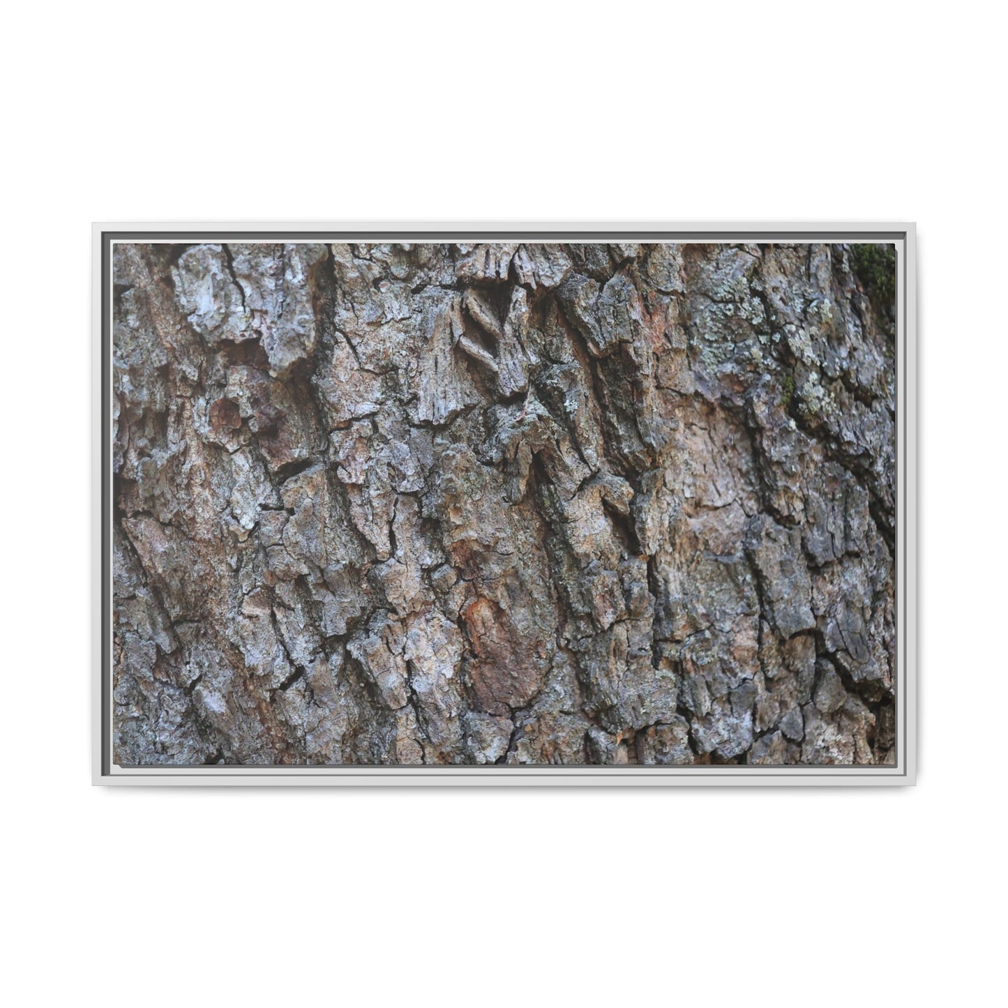 Woodland Skin - Unique Stretched Canvas Wall Art - Art By Earth