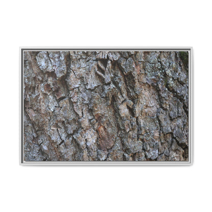 Woodland Skin - Unique Stretched Canvas Wall Art - Art By Earth