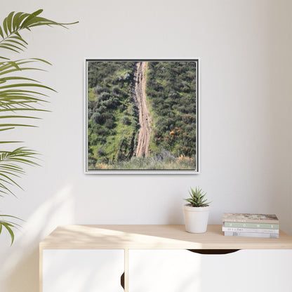 Desert Path Through Sage - Unique Stretched Canvas Wall Art - Art By Earth