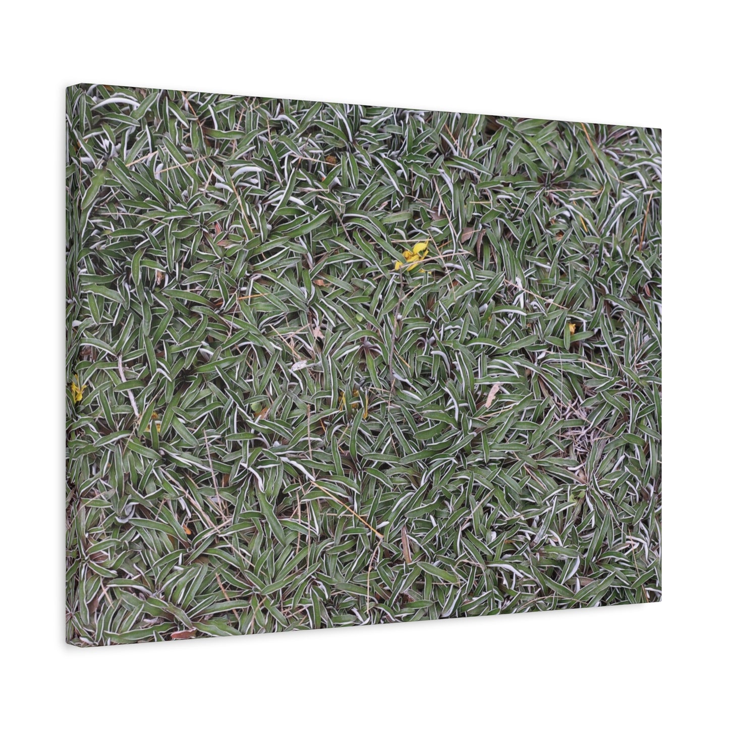 Tangled Memories - Unique Frameless Canvas Wall Art - Art By Earth