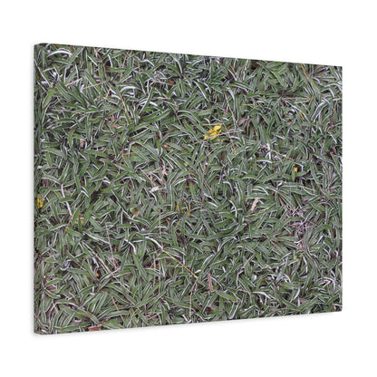 Tangled Memories - Unique Frameless Canvas Wall Art - Art By Earth