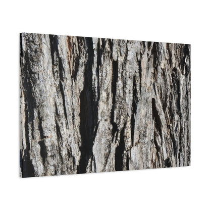Bark Textures in Monochrome - Unique Frameless Canvas Wall Art - Art By Earth