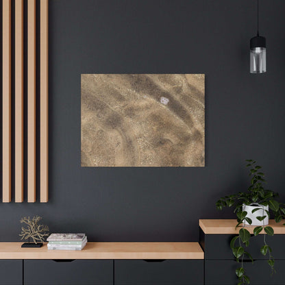 Sandy Shore Impressions - Unique Frameless Canvas Wall Art - Art By Earth