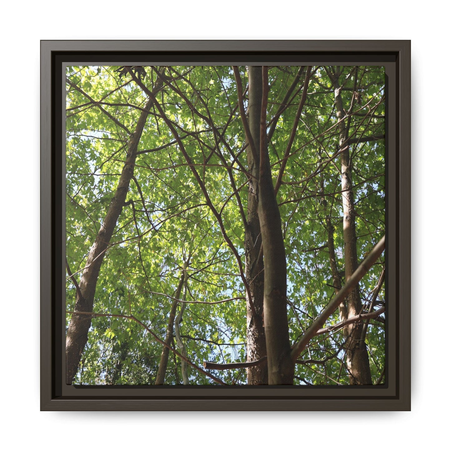 Forest Branches - Unique Stretched Canvas Wall Art