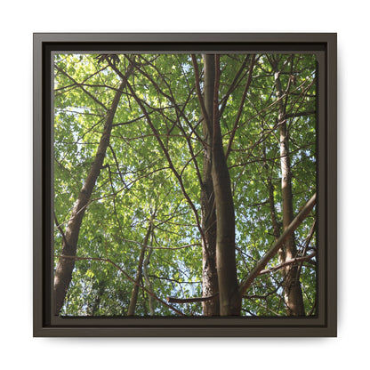 Forest Branches - Unique Stretched Canvas Wall Art