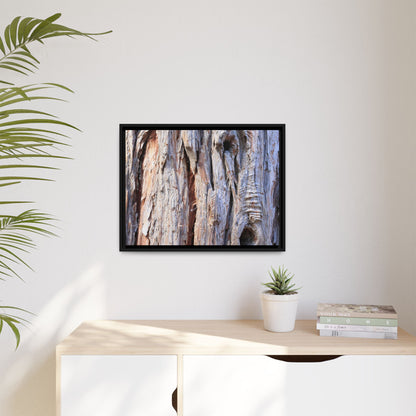Nature's Grain - Unique Stretched Canvas Wall Art - Art By Earth