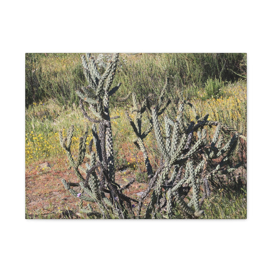 Desert Bloom in Shadow - Unique Frameless Canvas Wall Art - Art By Earth