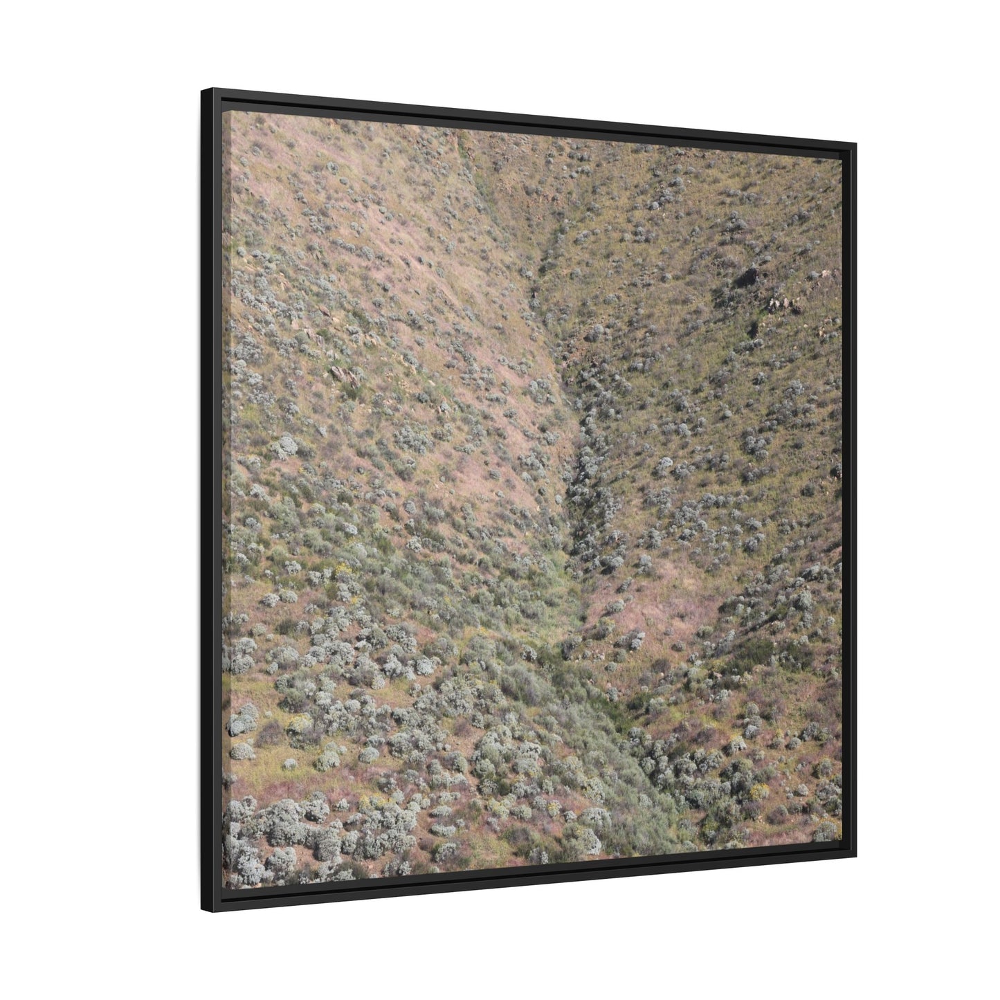 Mountain Slope with Desert Vegetation - Unique Stretched Canvas Wall Art - Art By Earth