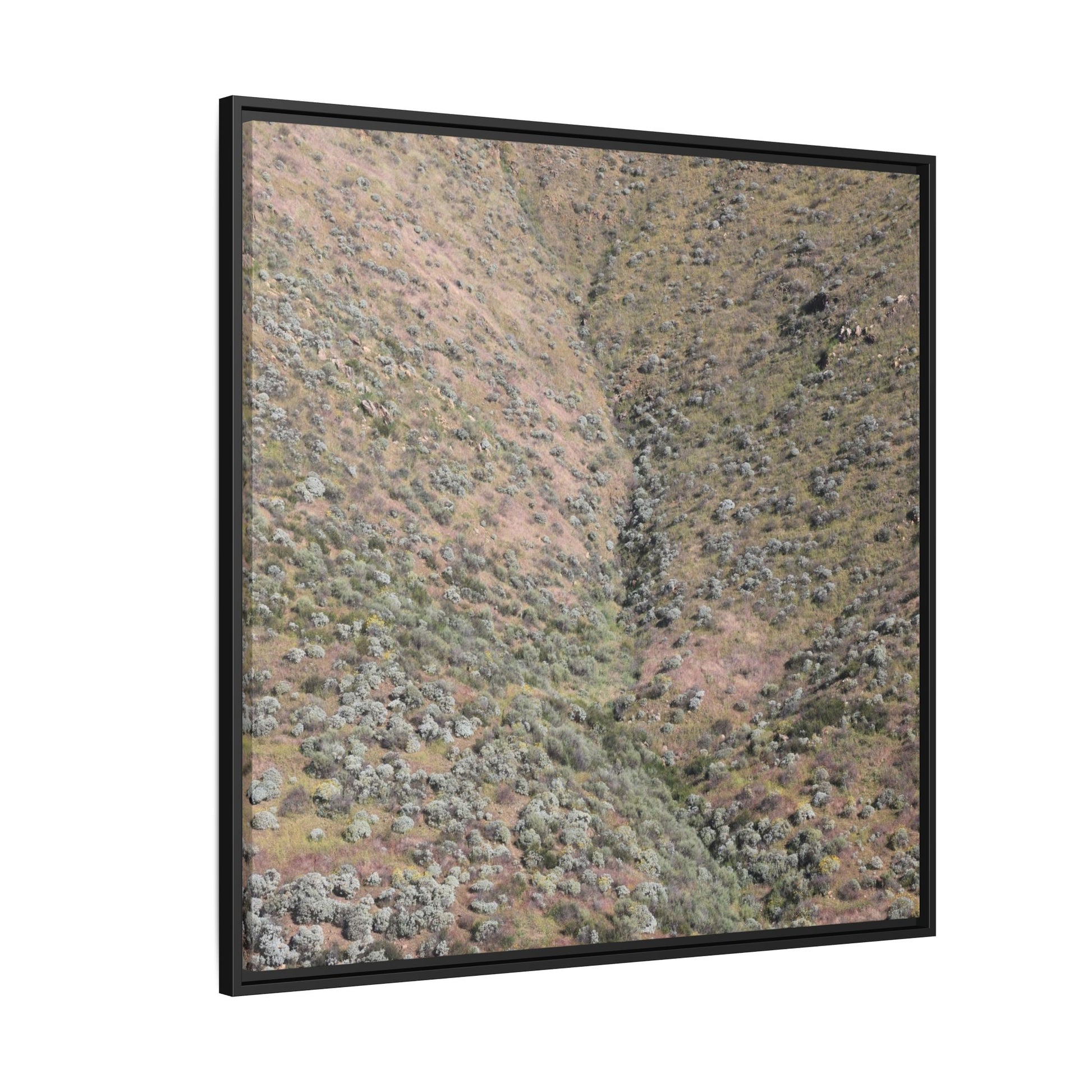 Mountain Slope with Desert Vegetation - Unique Stretched Canvas Wall Art - Art By Earth