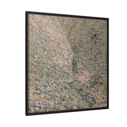 Mountain Slope with Desert Vegetation - Unique Stretched Canvas Wall Art - Art By Earth
