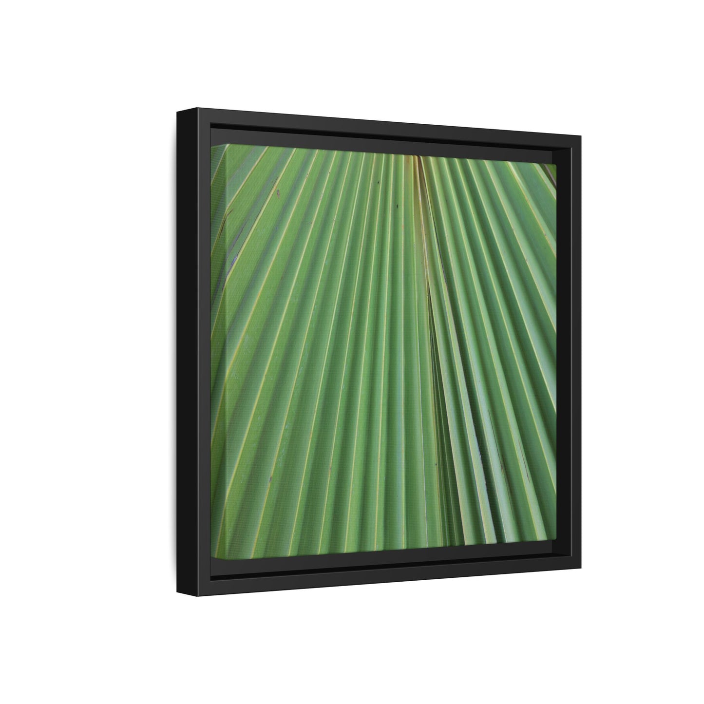 Verdant Veins - Unique Stretched Canvas Wall Art - Art By Earth