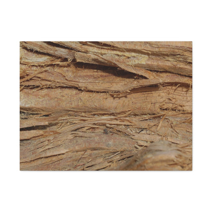 Layers of Memory - Unique Frameless Canvas Wall Art - Art By Earth