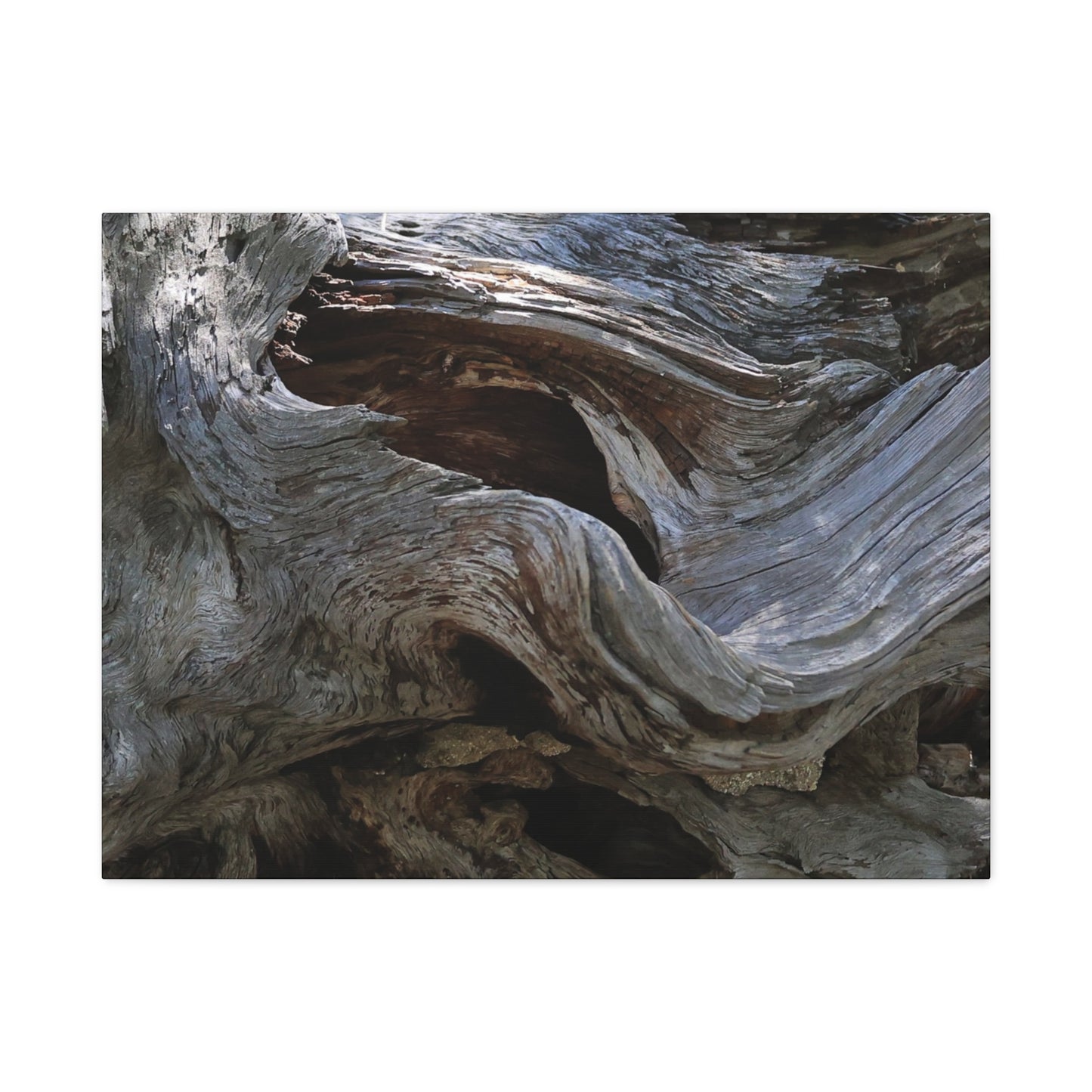 Twisted Fate - Unique Frameless Canvas Wall Art - Art By Earth