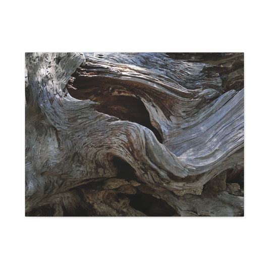 Twisted Fate - Unique Frameless Canvas Wall Art - Art By Earth