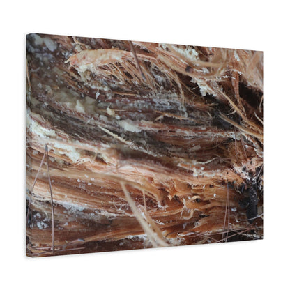 Decaying Whispers - Unique Frameless Canvas Wall Art - Art By Earth