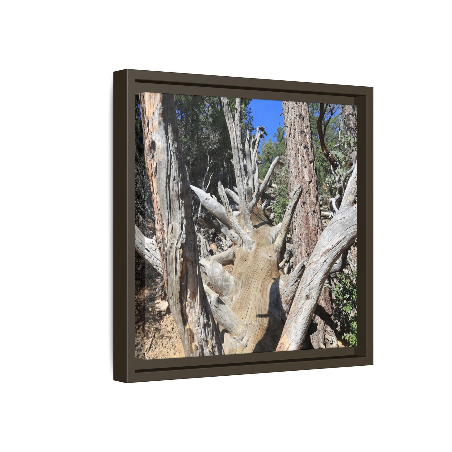 Forest Sentinels - Unique Stretched Canvas Wall Art