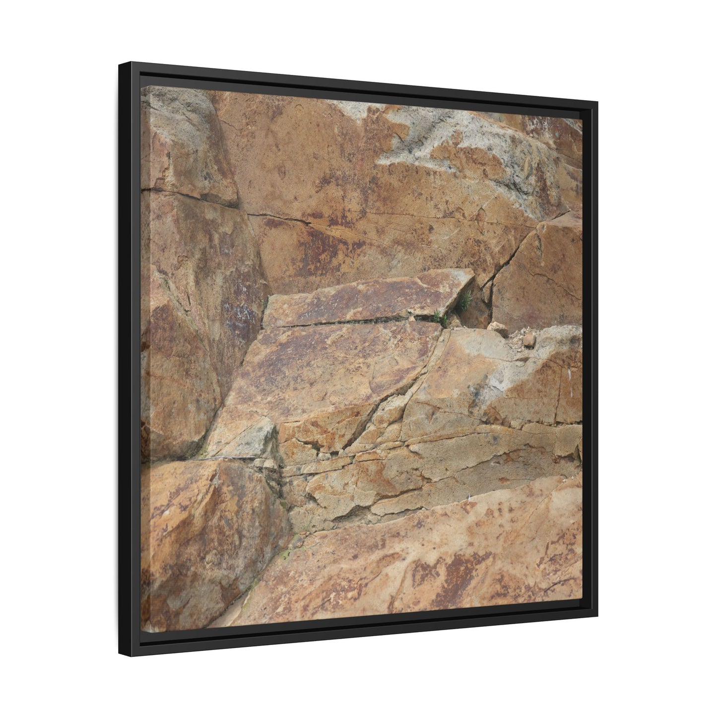 Ancient Foundations - Unique Stretched Canvas Wall Art - Art By Earth