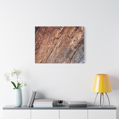 Natural Wood Grain - Unique Frameless Canvas Wall Art - Art By Earth