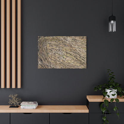 Tangled Hay - Unique Stretched Canvas Wall Art - Art By Earth